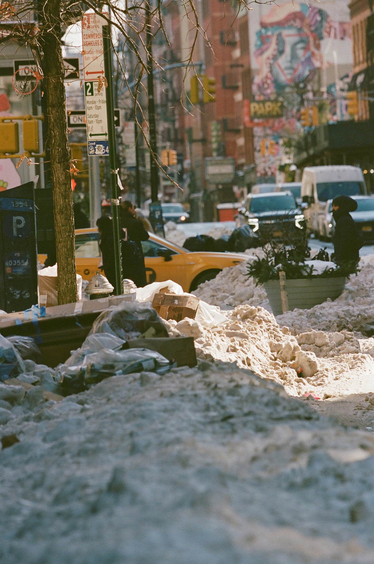 Fall Winter 26