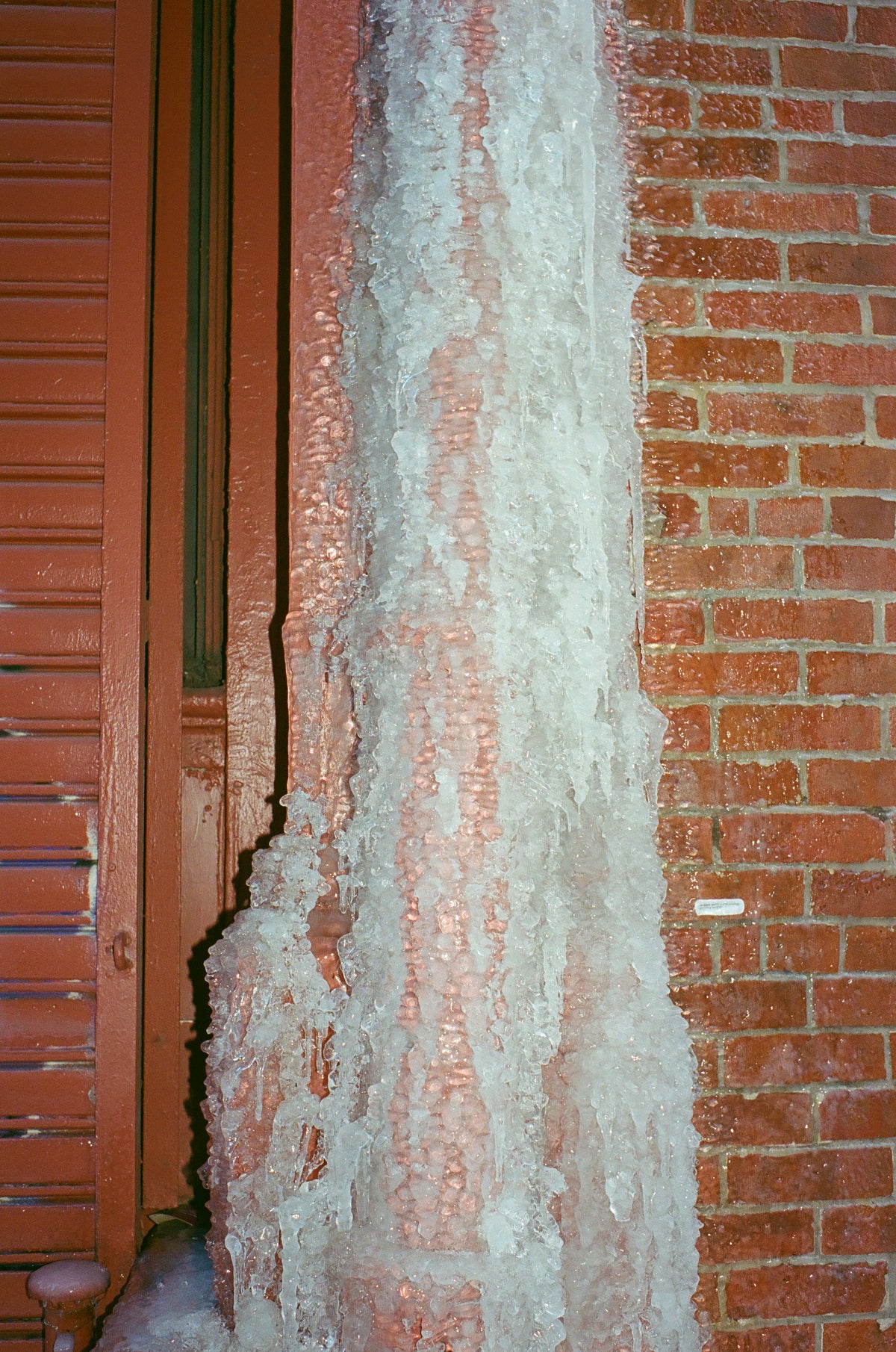 Fall Winter 26