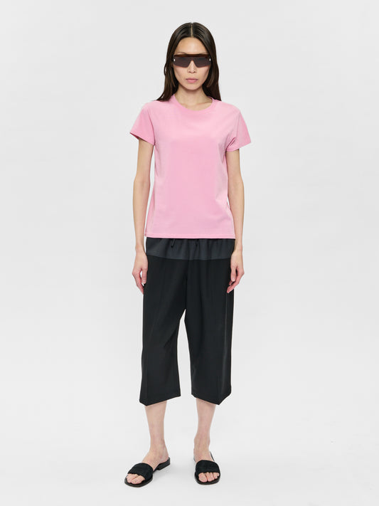 Woman in pink tshirt and black pants on a white background